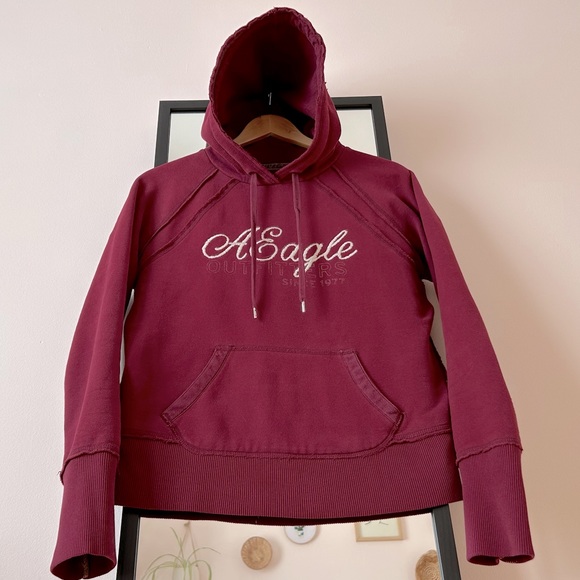 American Eagle 🦅 Outfitters hoodie sweater sweatshirt - Picture 9 of 16
